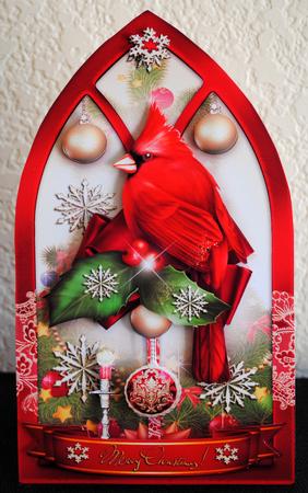 Christmas Cardinal Bird at the Window by Yvonne Middleton