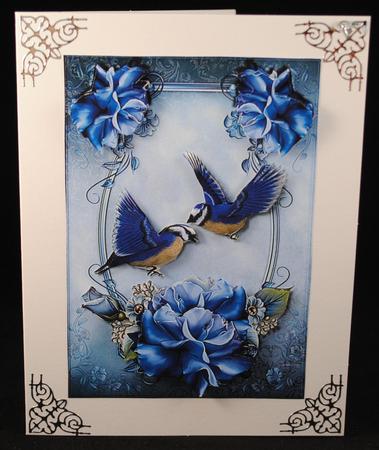 Birds & Roses by Yvonne Middleton