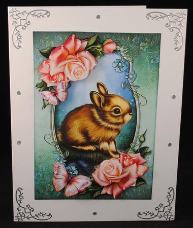 Baby Bunny by Yvonne Middleton