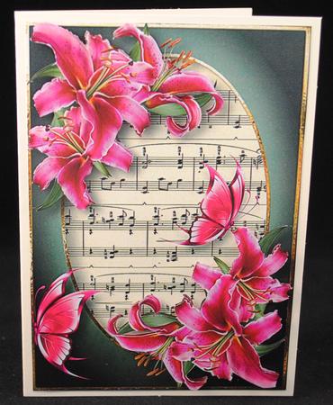 Hot Pink Lilies & Butterflies by Yvonne Middleton
