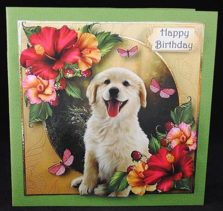 Golden Retriever Pup & Hibiscus Flowers 8x8 by Yvonne Middleton