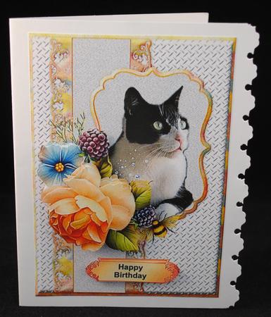 You Are the Cats Whiskers by Yvonne Middleton