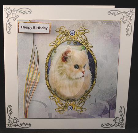 Lovely White Cat Card with Eclipes Stackers by Yvonne Middleton