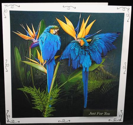 Paradise Flowers and Parrots Topper with Decoupage by Yvonne Middleton