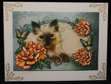 Bleu Eyes Kitten by Yvonne Middleton