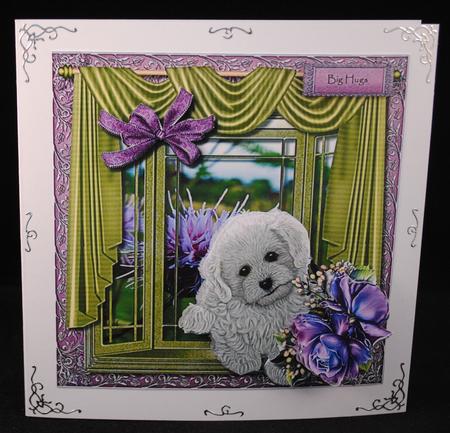 In the Window -  by Yvonne Middleton