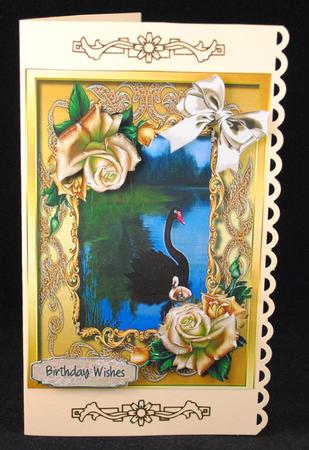 Beautiful Black Swan and Signet on the Lake  by Yvonne Middleton