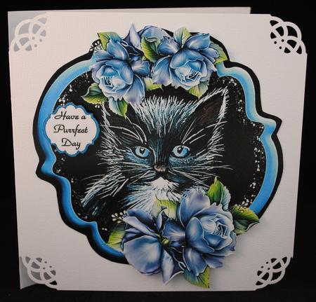 Such a Purrfect Day - Kitten by Yvonne Middleton