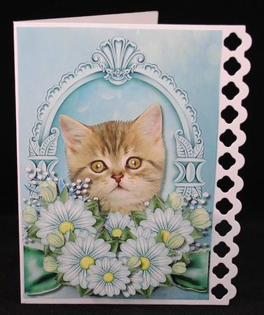 Cute Kitten by Yvonne Middleton