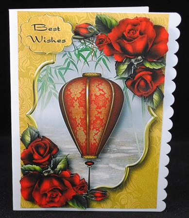 Fabulous Chinese Lantern & Red Roses by Yvonne Middleton