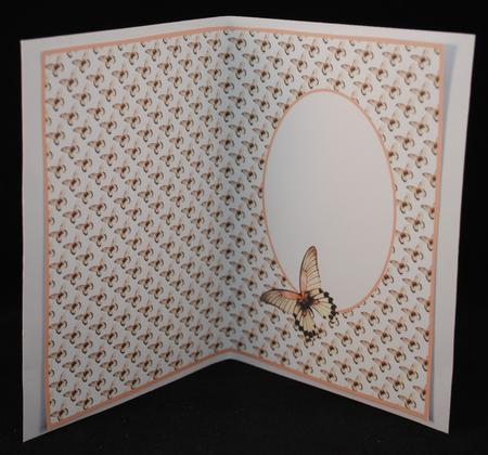 Butterfly Inserts by Yvonne Middleton