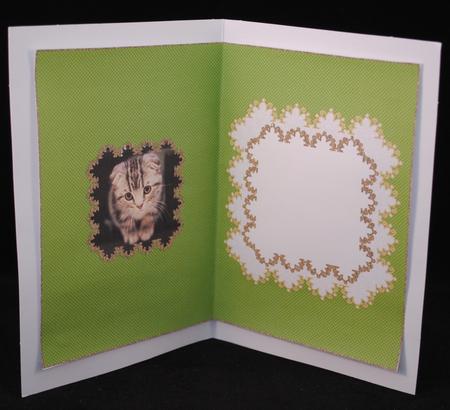 Kitten is Missing You Matching Insert 5 by Yvonne Middleton