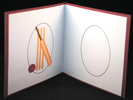 Anyone for Cricket Insert by Yvonne Middleton