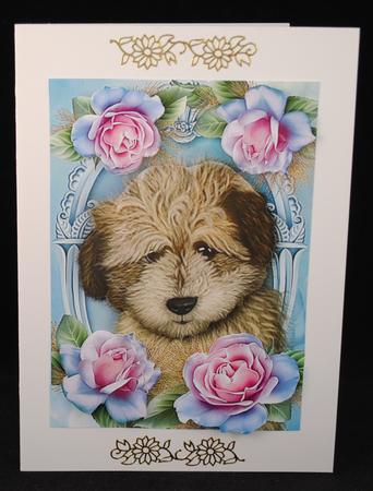 Adorable Shaggy Dog in Roses by Yvonne Middleton