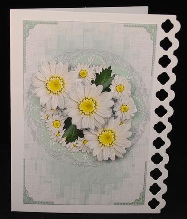 White Daisies by Yvonne Middleton