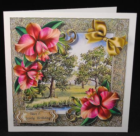 Beautiful Orchids in the Orchid  by Yvonne Middleton