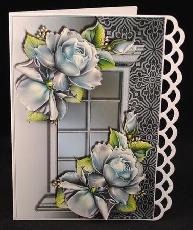 Window Porcelain Roses by Yvonne Middleton