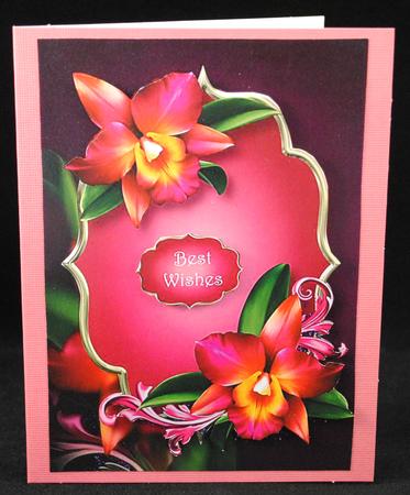 Gorgeous Hot Pink Orchids by Yvonne Middleton