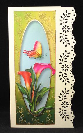 Large Dl Hot Calla Lilies & Butterfly by Yvonne Middleton