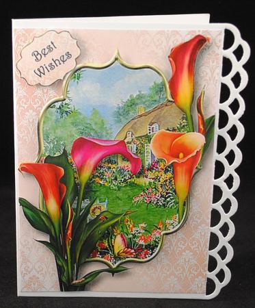 Hot Calla Lilies at the Flower Cottage by Yvonne Middleton