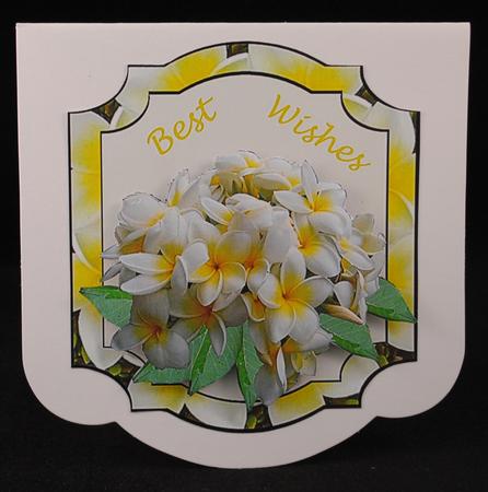 Frangipani Shaped Topper by Yvonne Middleton
