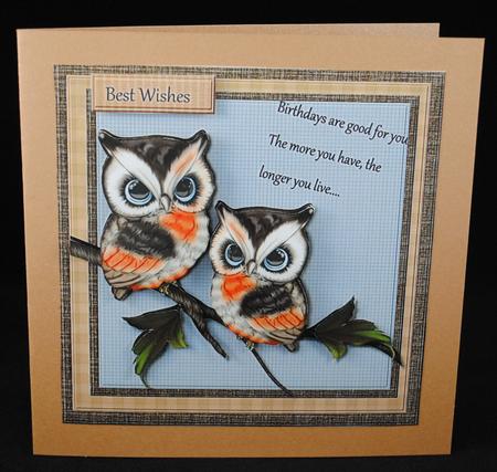 Male Card Owls by Yvonne Middleton