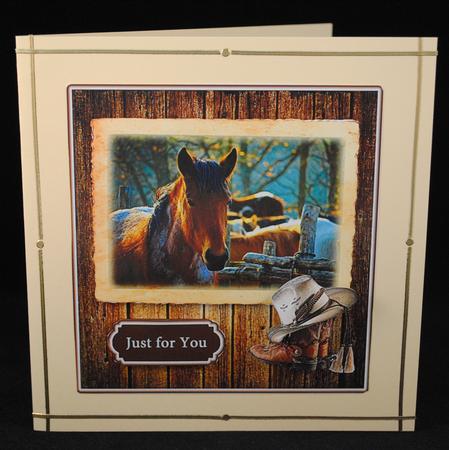Western Pony by Yvonne Middleton
