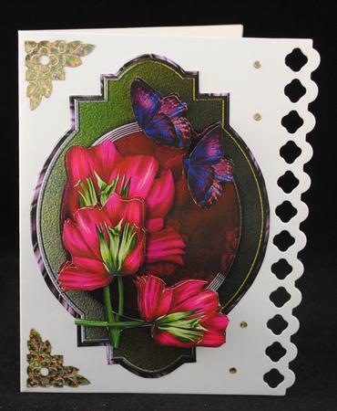 Panel Anemones by Yvonne Middleton