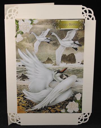 Free as a Bird Beautiful White Swans in Flight & Ocean by Yvonne Middleton