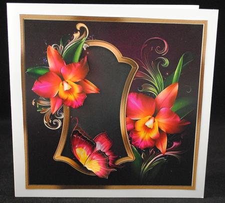 Romantic Orchids by Yvonne Middleton
