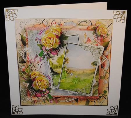 Country Flowers  by Yvonne Middleton