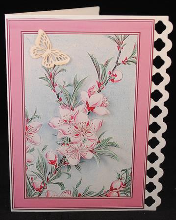 Blossom Flowers Backgrounds by Yvonne Middleton