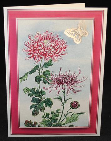 Crysanthemum Flower Background by Yvonne Middleton