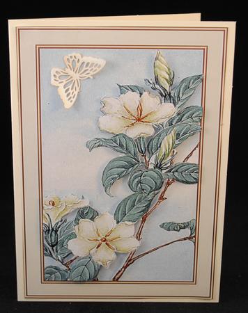 Jasmine Flower Backgrounds by Yvonne Middleton