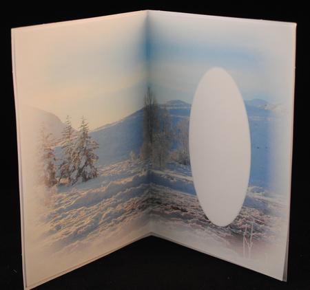 Winter Insert 1 by Yvonne Middleton