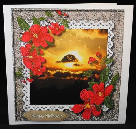 Beautiful Sunset and Red Flowers  by Yvonne Middleton