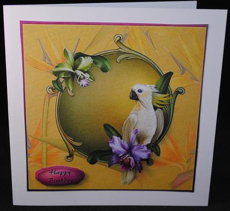 Tropical Bird by Yvonne Middleton