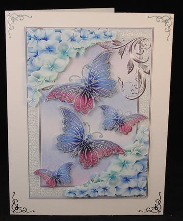Pretty Chrysanthemums in Lilac/pink with Butterflies by Yvonne Middleton