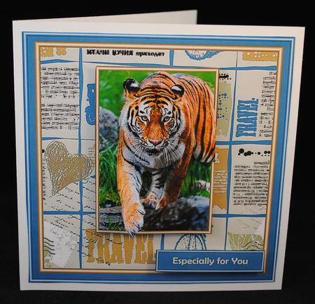 See the World - Siberian Tiger by Yvonne Middleton