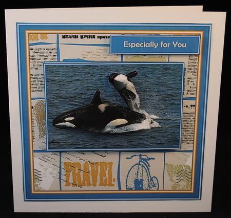 See the World - Whales by Yvonne Middleton