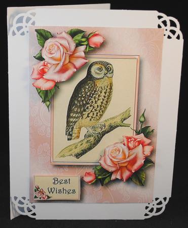 Gorgeous Owl & Edwardian Roses A5 by Yvonne Middleton