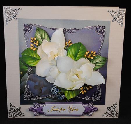 Male Card Camelias by Yvonne Middleton