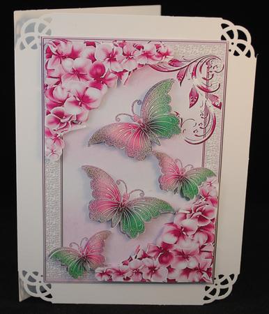 Pretty Chrysanthemums in Pink with Butterflies by Yvonne Middleton