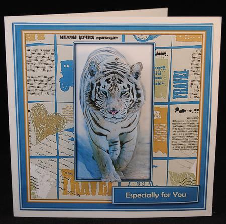 See the World - White Tiger by Yvonne Middleton