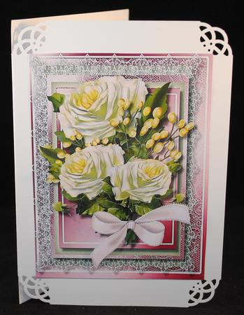 Beautiful White Roses in a Pink Frame  by Yvonne Middleton