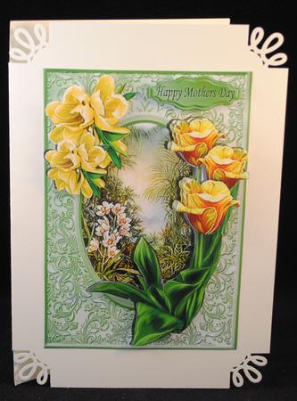 Beautiful Garden of Summer Flowers by Yvonne Middleton