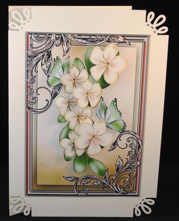 Pretty Cream Flowers with Green Butterflies in Ornate Frame by Yvonne Middleton