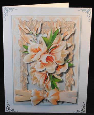 Beautiful Peach Magnolias in a Flower Frame  by Yvonne Middleton