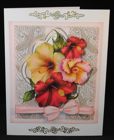 Beautiful Hibiscus and Lace  by Yvonne Middleton