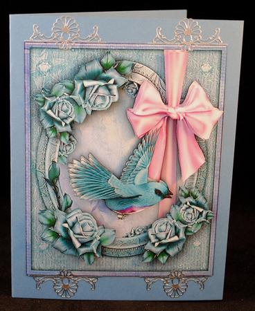 Baby Blue Bird by Yvonne Middleton